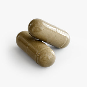 Ginkgo Biloba + Ginseng – Focus and Cognitive Support