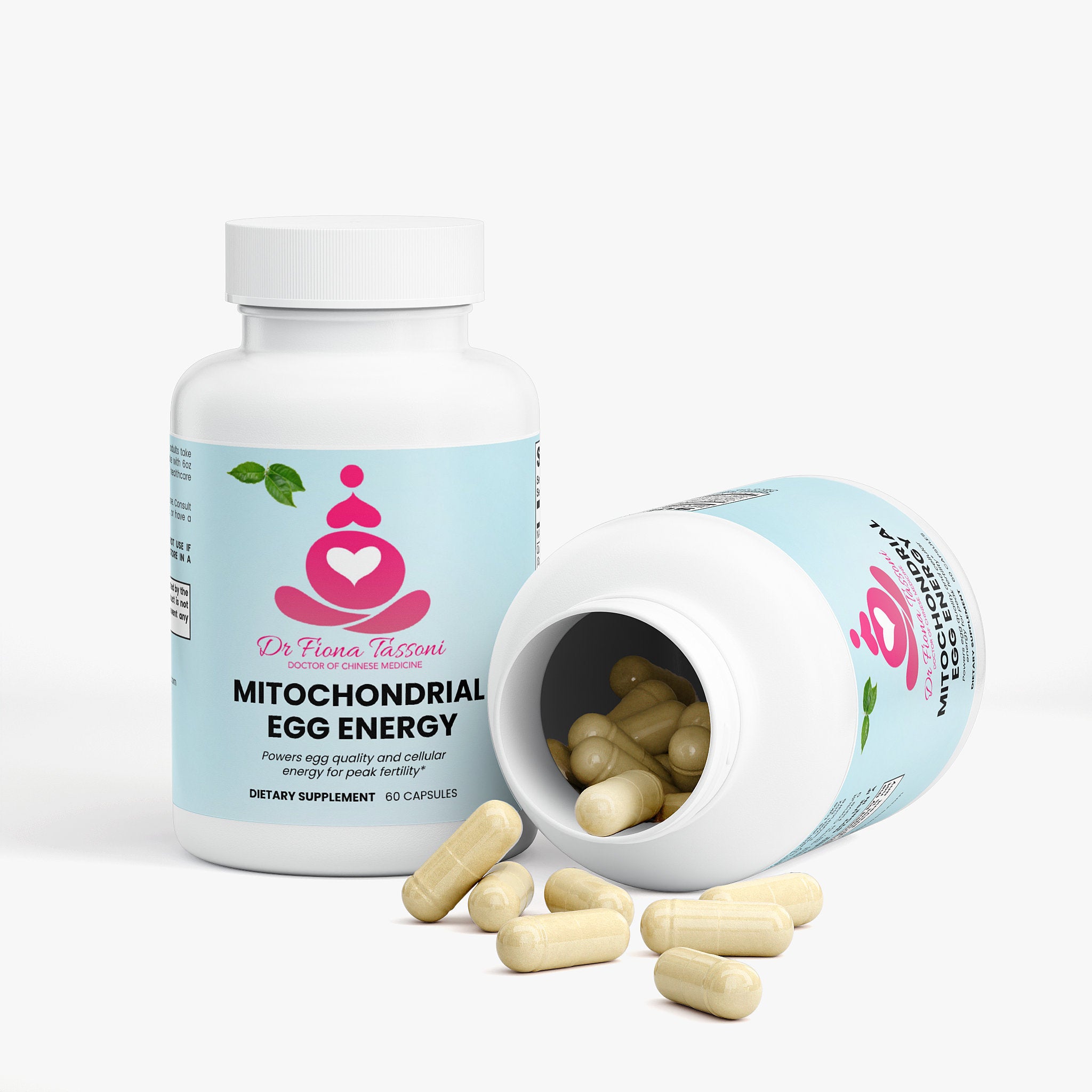 Mitochondrial Egg Energy