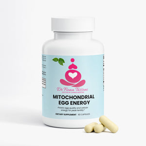Mitochondrial Egg Energy