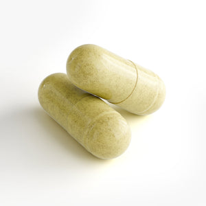 Mitochondrial Egg Energy