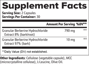 Insulin Cycle Regulator